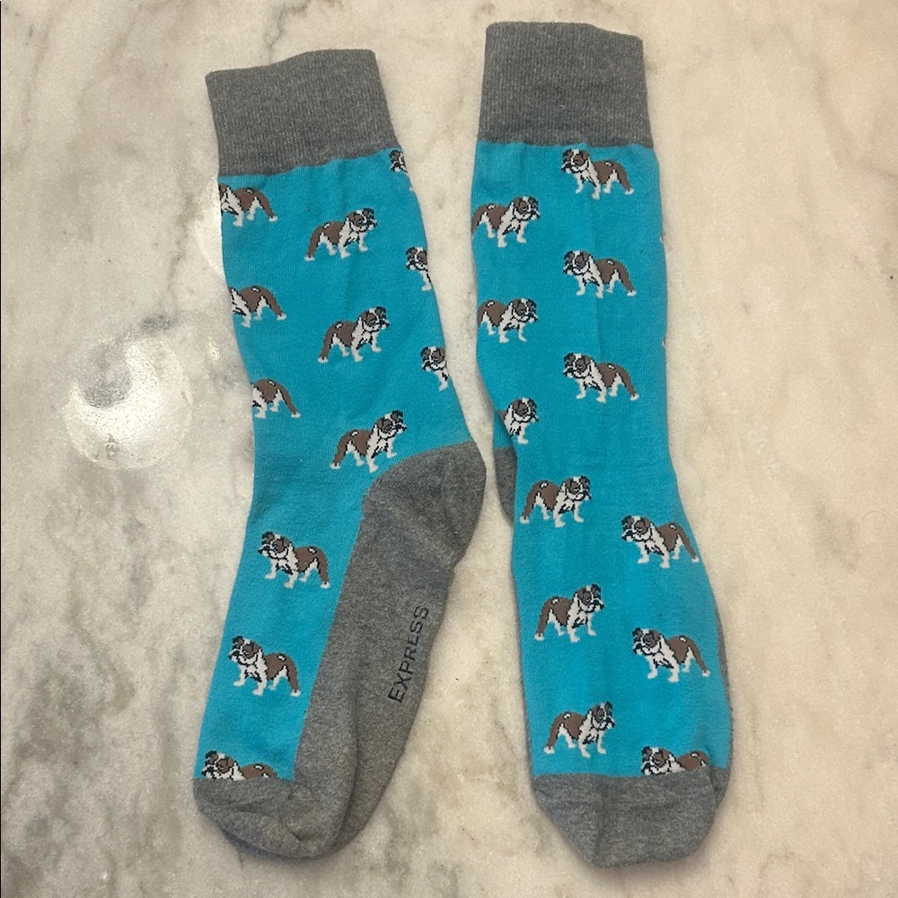Express Men’s Bulldog Pattern Socks
